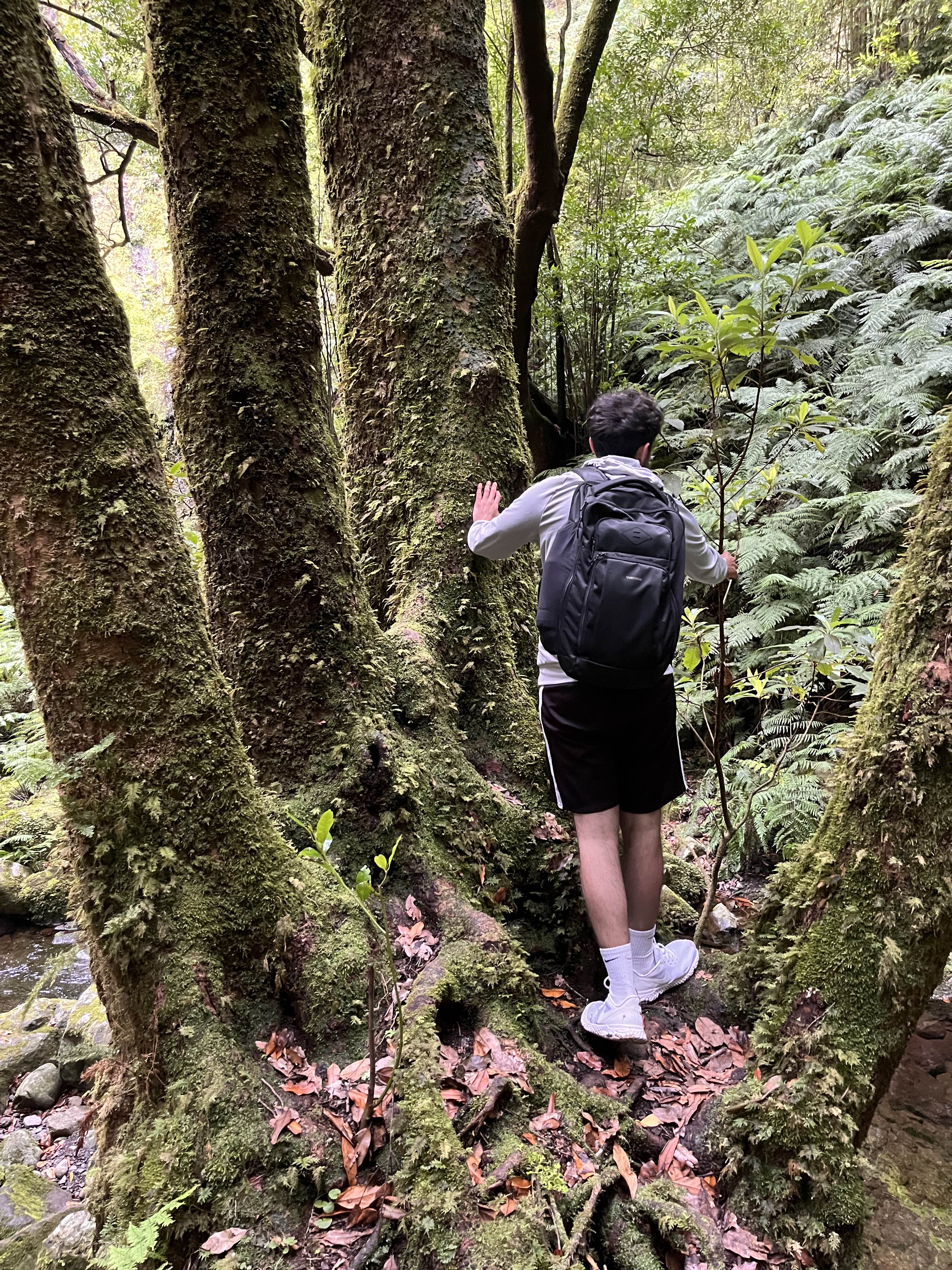 Island Adventure