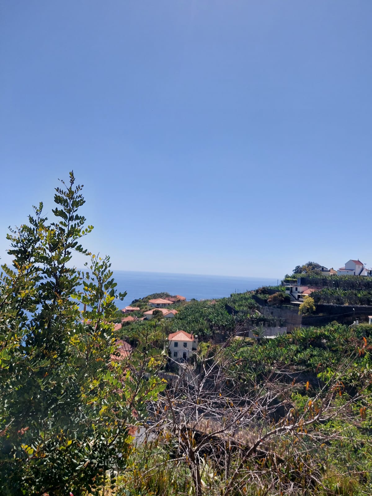 Madeira Nature